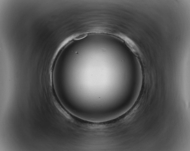 X0000086721238200704201620
