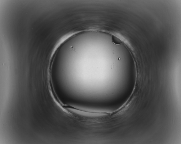 X0000086721239200704201620