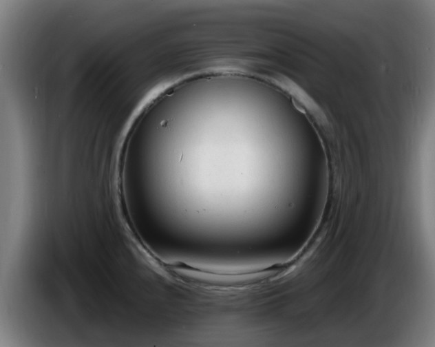 X0000086721240200704201620