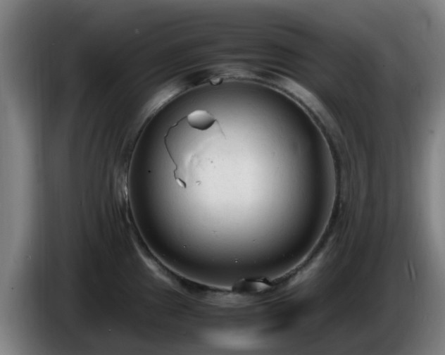 X0000086721241200704201620
