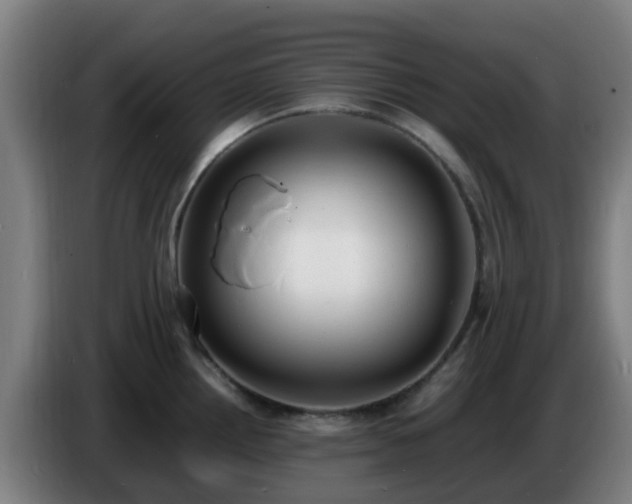 X0000086721242200704201620