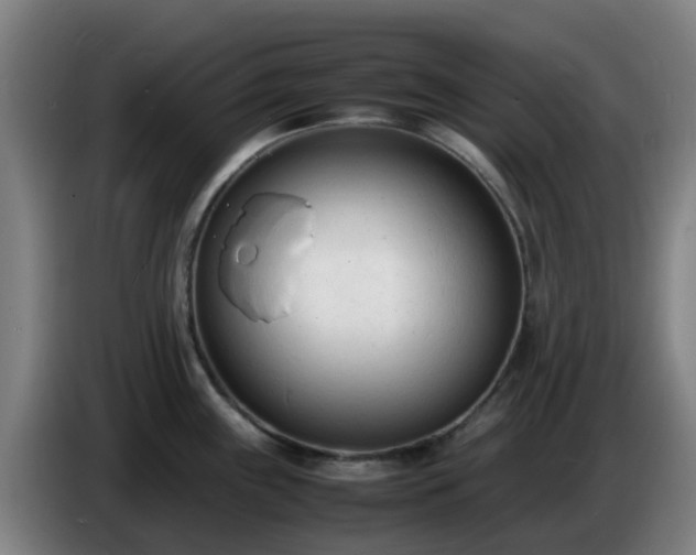 X0000086721243200704201620