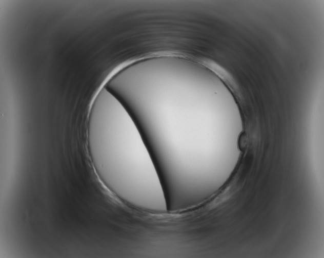 X0000086721244200704201620