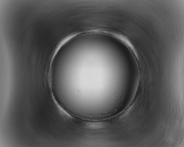 X0000086721247200704201620