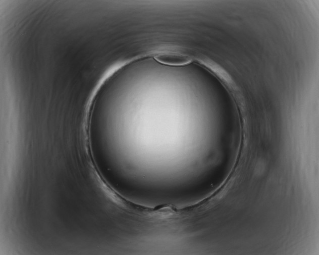 X0000086721248200704201620