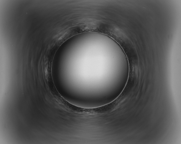 X0000086721250200704201620