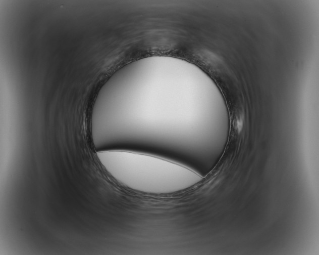 X0000086721252200704201620