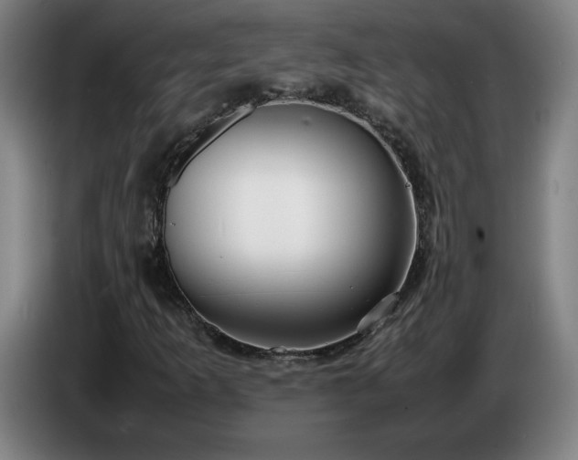 X0000086721253200704201620