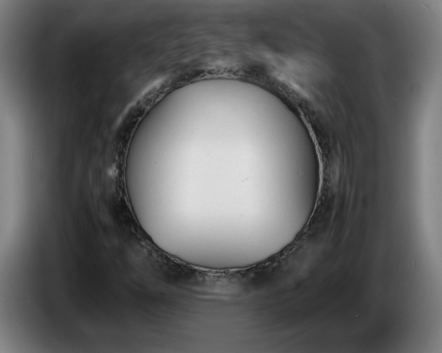 X0000086721254200704201620
