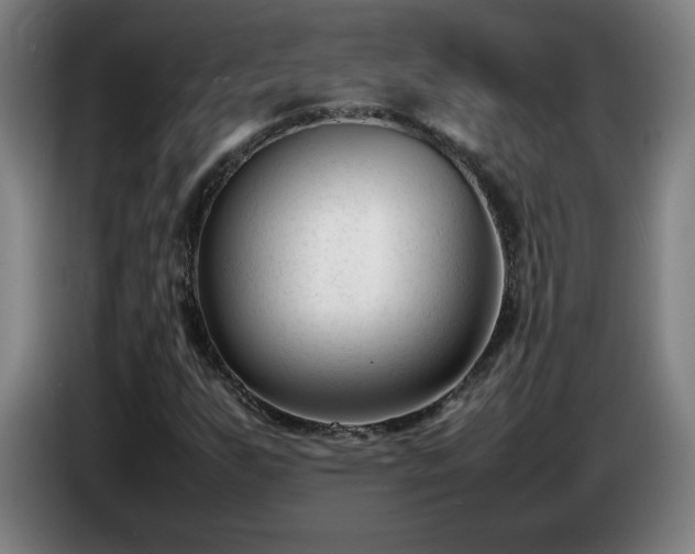 X0000086721255200704201620