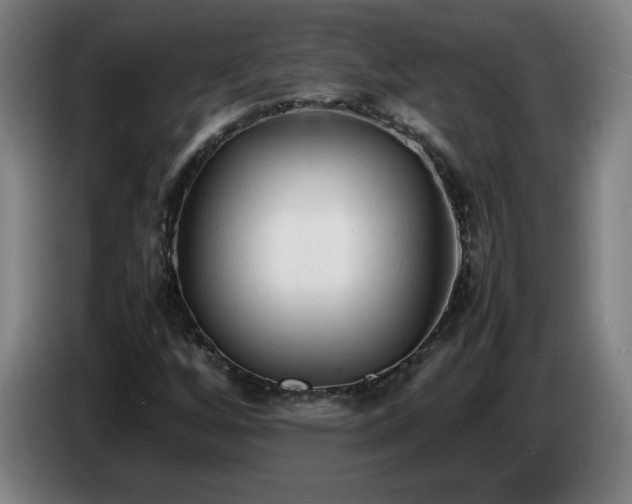 X0000086721256200704201620