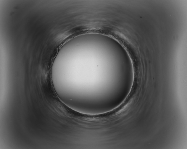 X0000086721257200704201619