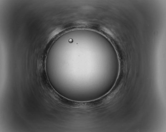 X0000086721259200704201619