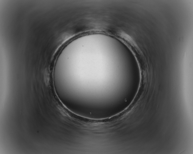 X0000086721260200704201619