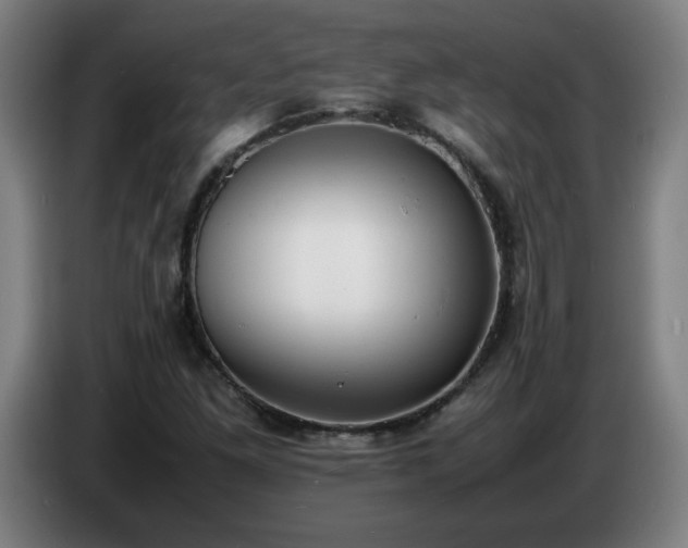 X0000086721261200704201619