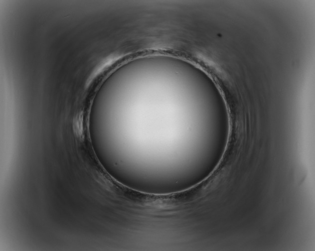 X0000086721262200704201619