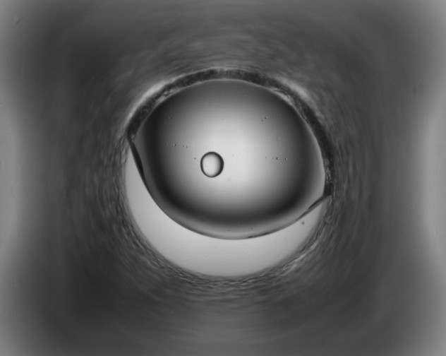 X0000086721263200704201619