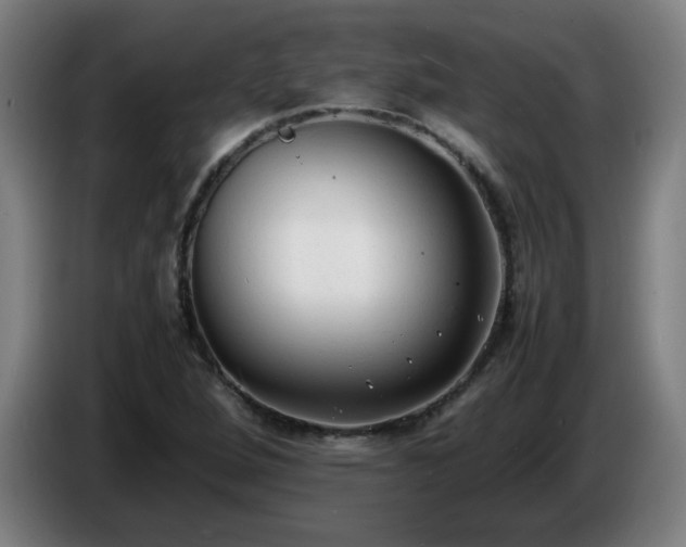 X0000086721264200704201619