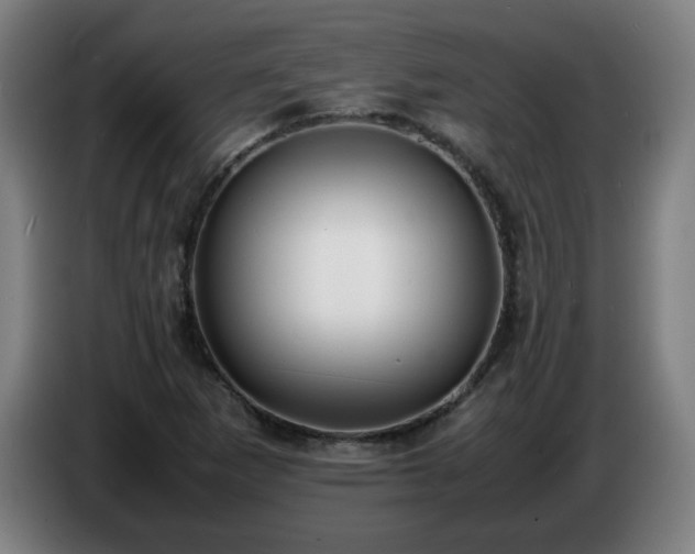 X0000086721265200704201619
