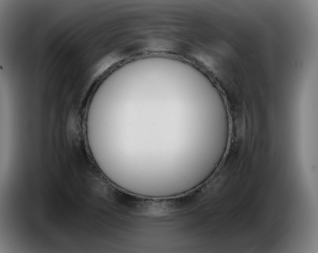 X0000086721266200704201619