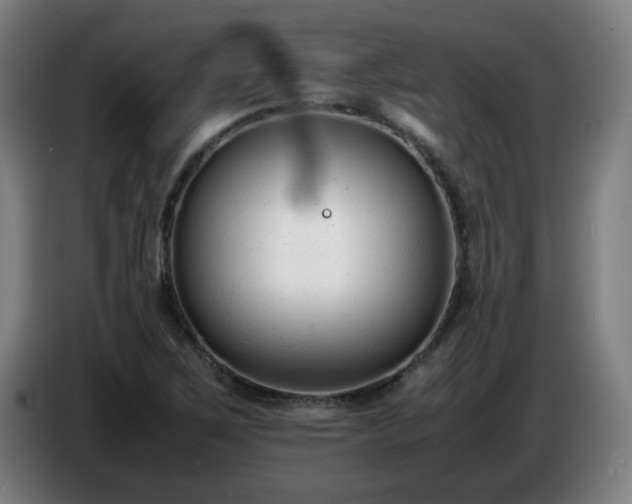 X0000086721267200704201619