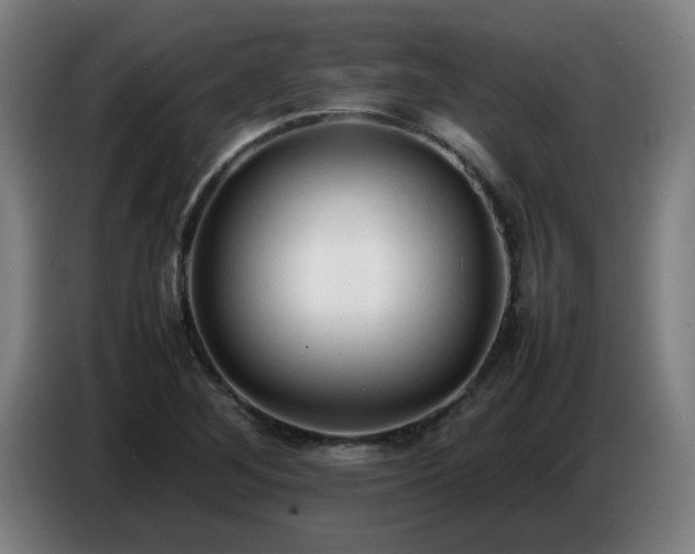 X0000086721268200704201619
