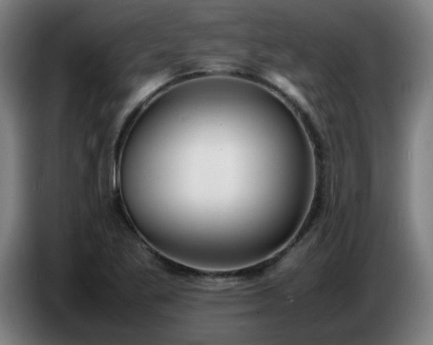 X0000086721269200704201619