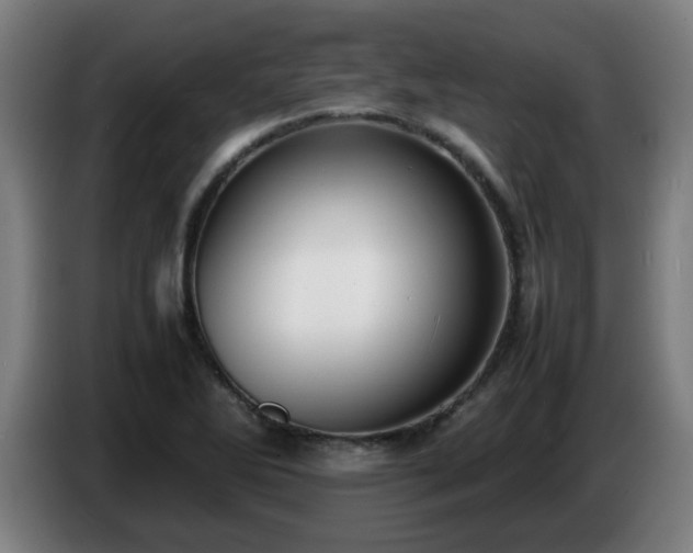 X0000086721270200704201619
