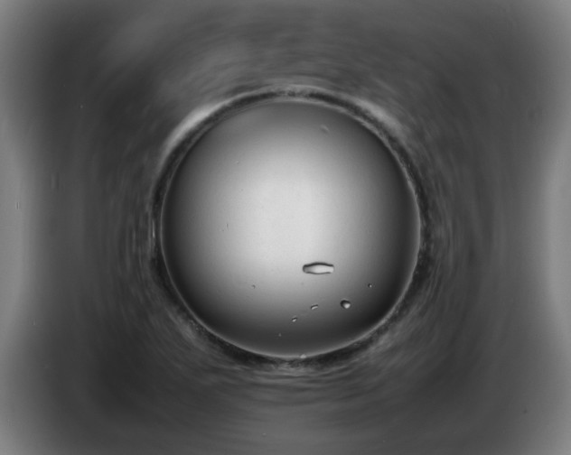 X0000086721271200704201619