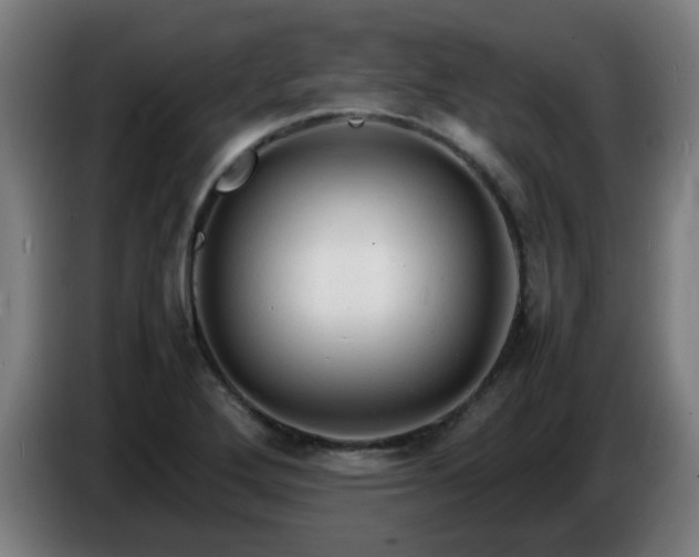 X0000086721272200704201619