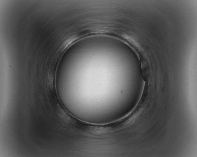 X0000086721273200704201619