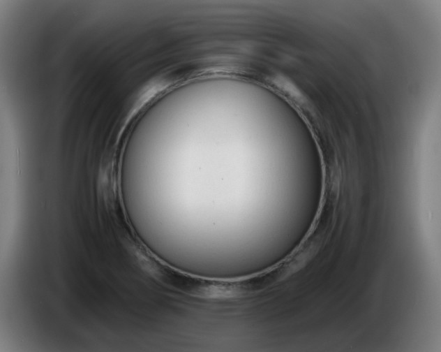 X0000086721274200704201619
