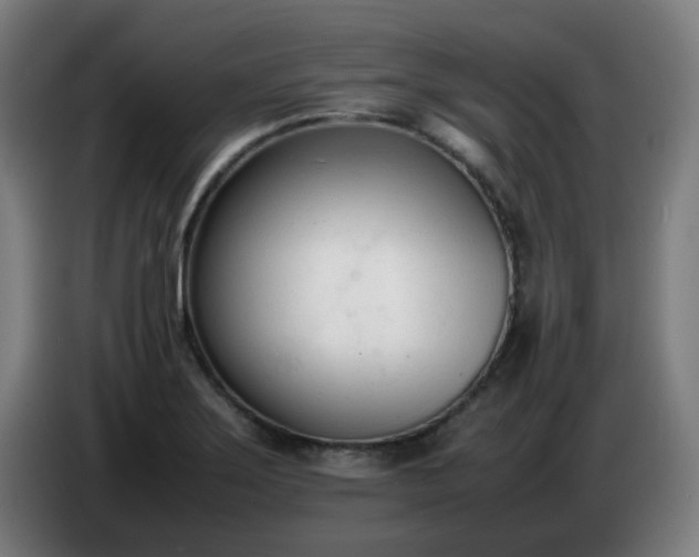 X0000086721275200704201619