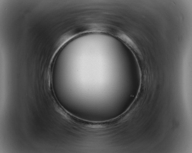 X0000086721276200704201619