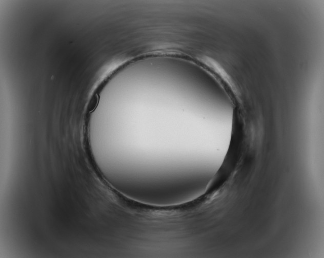 X0000086721277200704201619