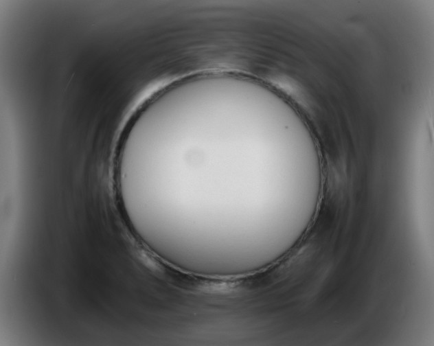 X0000086721278200704201619
