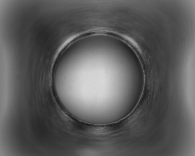 X0000086721279200704201619