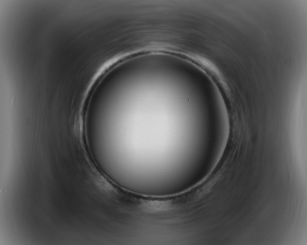 X0000086721280200704201619