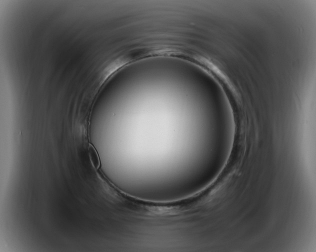 X0000086721281200704201619