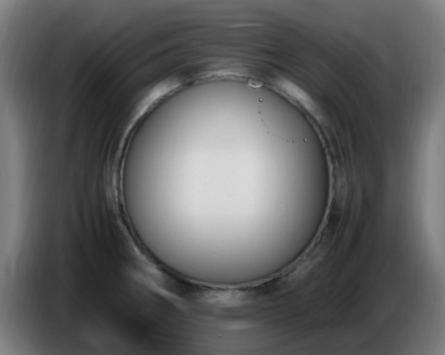 X0000086721282200704201619