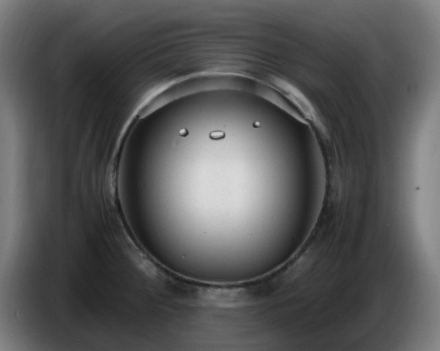 X0000086721284200704201619