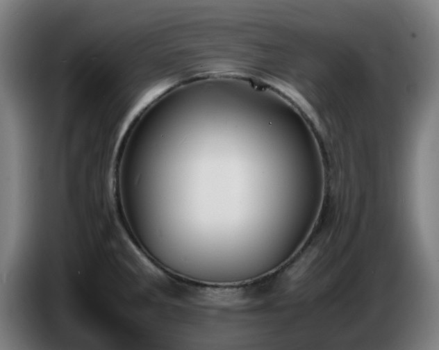 X0000086721285200704201619