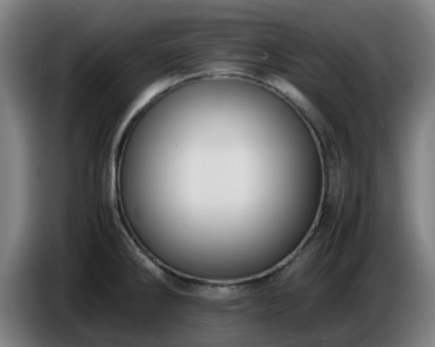X0000086721286200704201619