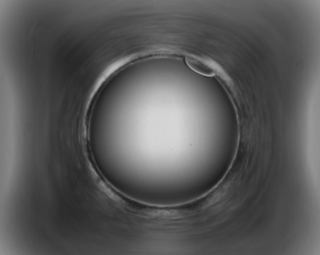X0000086721287200704201619