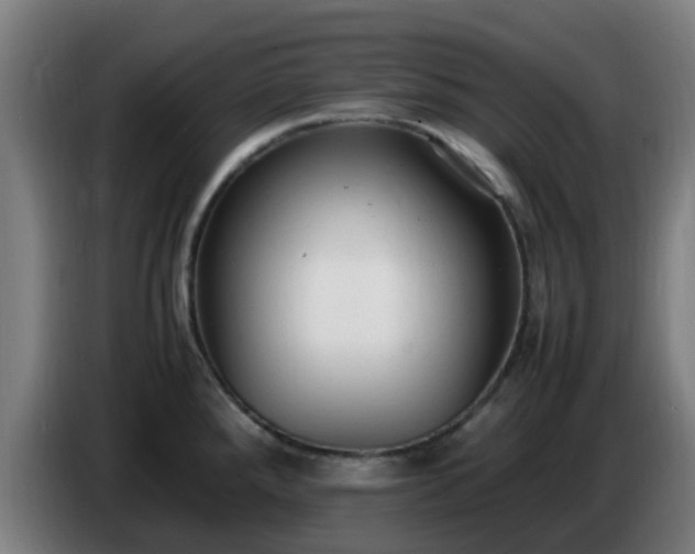 X0000086721288200704201619