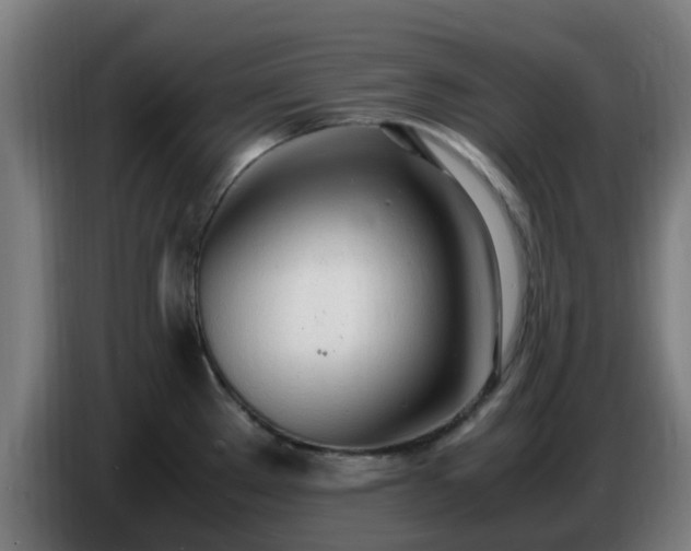 X0000086721289200704201619