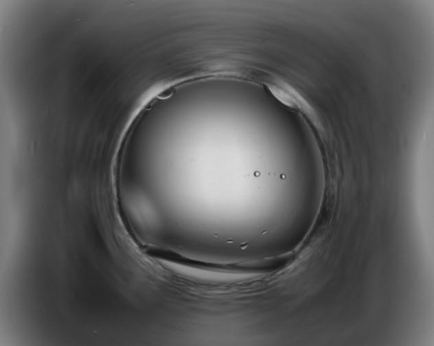 X0000086721291200704201619
