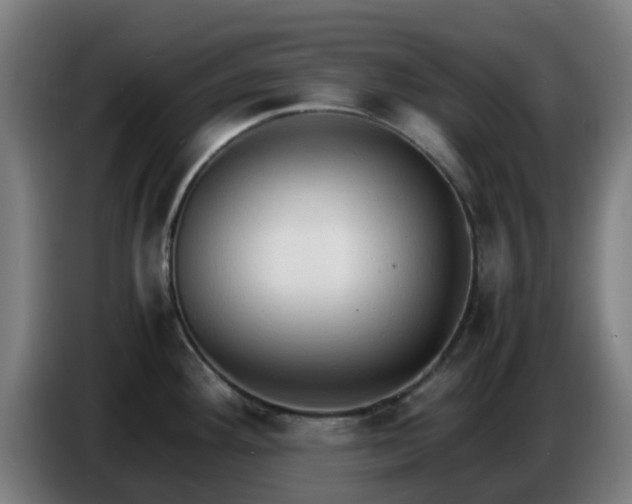 X0000086721292200704201619