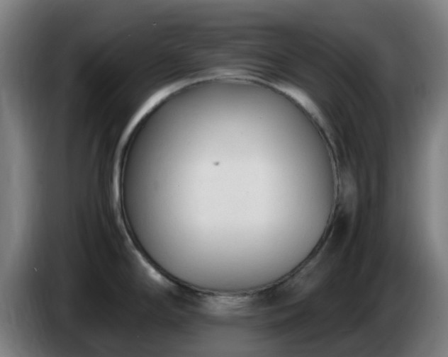 X0000086721294200704201619
