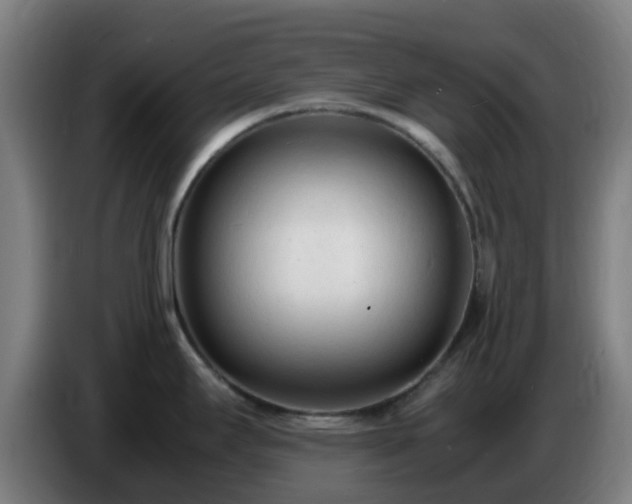 X0000086721295200704201619